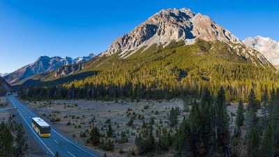 A Postbus drives through the middle of the Swiss National Park.