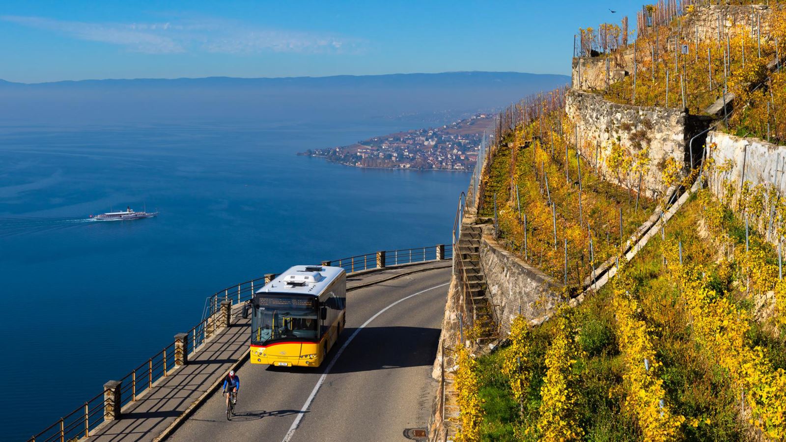 Die PostAuto-Linie 382 führt entlang und durchquert die Weinterrassen vom Bahnhof Cully nach Puidoux und dann Palézieux. Sie bietet Anschluss an die Züge nach Lausanne ab Cully, Puidoux und Palézieux (die auch in Romont FR umsteigen).