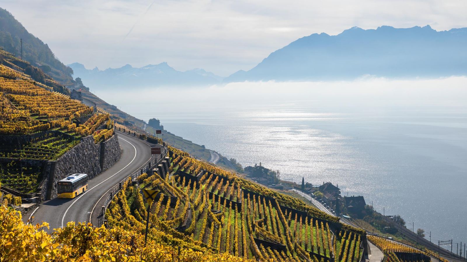 Das Postauto fährt entlang der farbenfrohen, herbstlichen Weinterrassen.