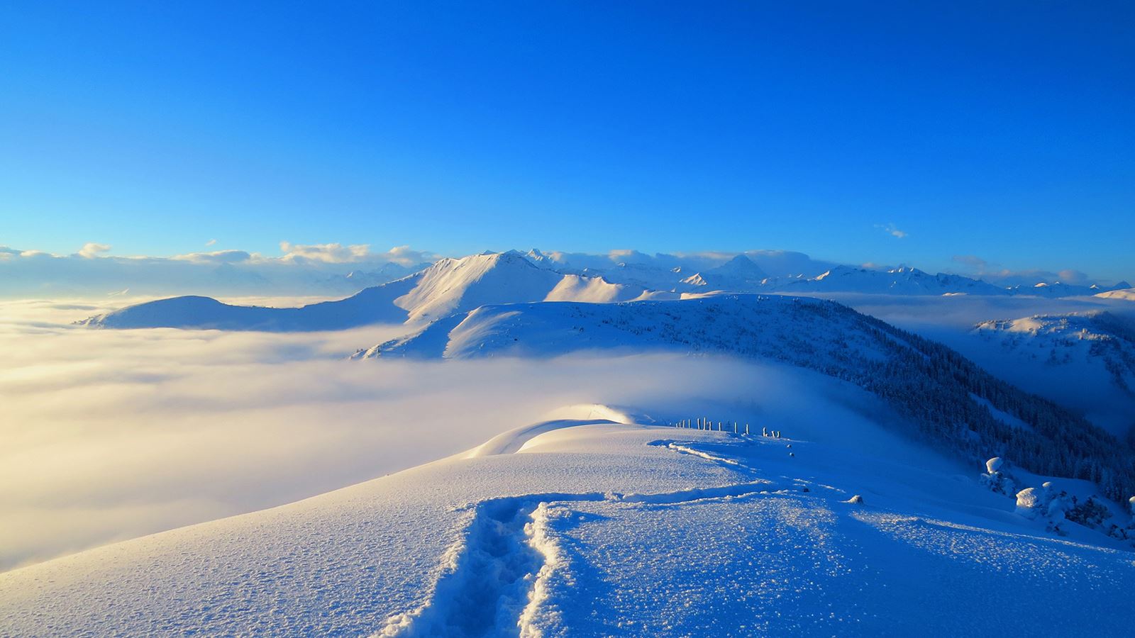 Paesaggio innevato con cielo blu.