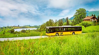 Ein gelbes Postauto fährt entlang grüner Wiesen am Hüttnersee vorbei.