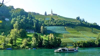 Ein Tössegg-Schiff tuckert vorbei an steilen Rebhängen auf dem Rhein Richtung Tössegg.