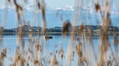 Ausblick vom Pfäffikersee-Rundweg auf den Pfäffikersee und die Berge.