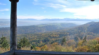 Ausblick vom Albis-Hochwacht-Turm auf den Sihlwald und die Alpen.