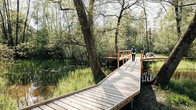 Holzsteg im Naturzentrum Thurauen auf dem Wanderweg «Via Natura».