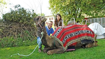 Mädchen und Mann mit einem sitzenden Kamel auf einer Wiese auf Ben’s Kamelfarm in Oberglatt