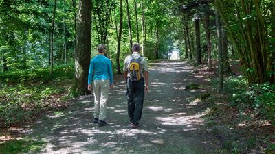 Frau mit blauem Pullover und heller Hose und Mann mit schwarzer Hose und Rucksack wandern durch einen schattigen Wald.