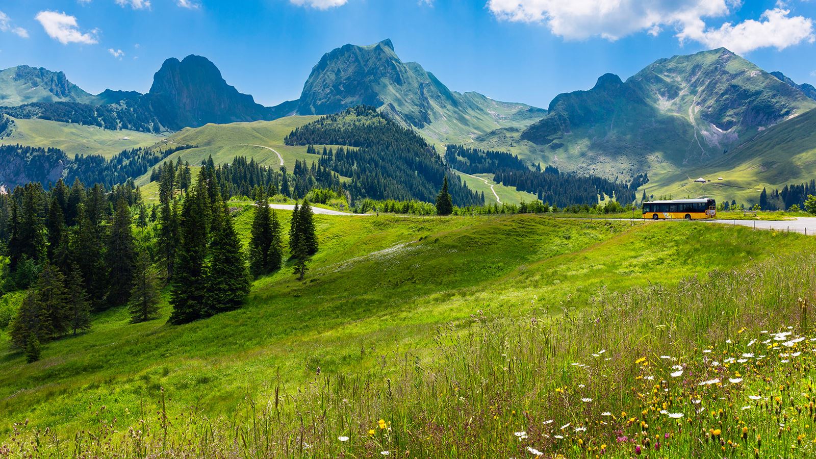 Postauto fährt auf Strasse. Im Vordergrund eine Wiese mit Blumen, im Hintergrund die Gantrisch-Bergkette.