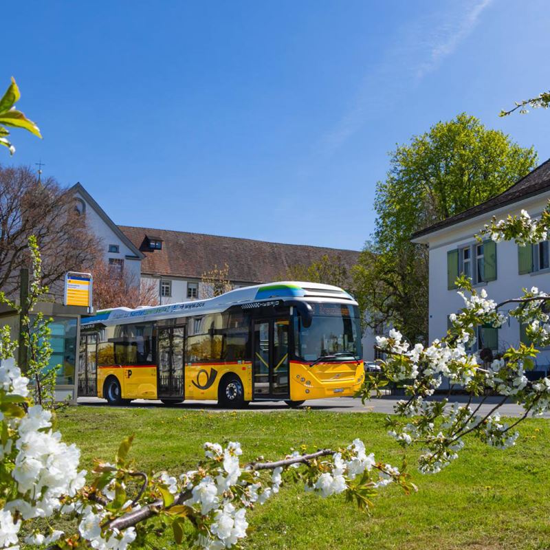 Ein gelbes Postauto steht an einer Haltestelle im ländlichen Raum. Im Vordergrund sind blühende Obstbäume zu sehen, die den frühlingshaften Charakter der Szene unterstreichen. Im Hintergrund befindet sich ein traditionelles Gebäude mit einem Satteldach. Die Atmosphäre des Bildes ist ruhig und idyllisch.