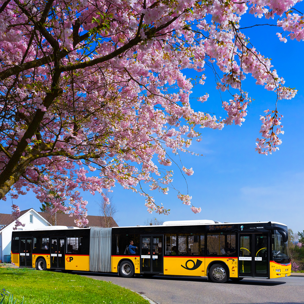The articulated PostBus and coloured leaves